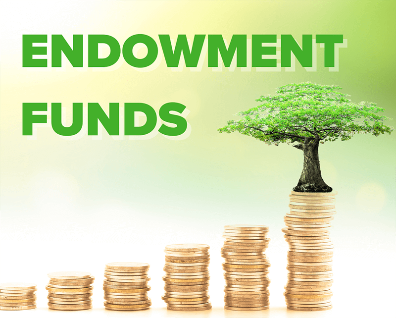 Endowment Funds