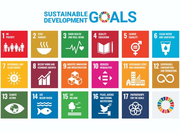 global studies grade 10 sustainable dev goals