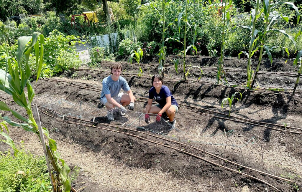 Students working at Battery Urban Farm