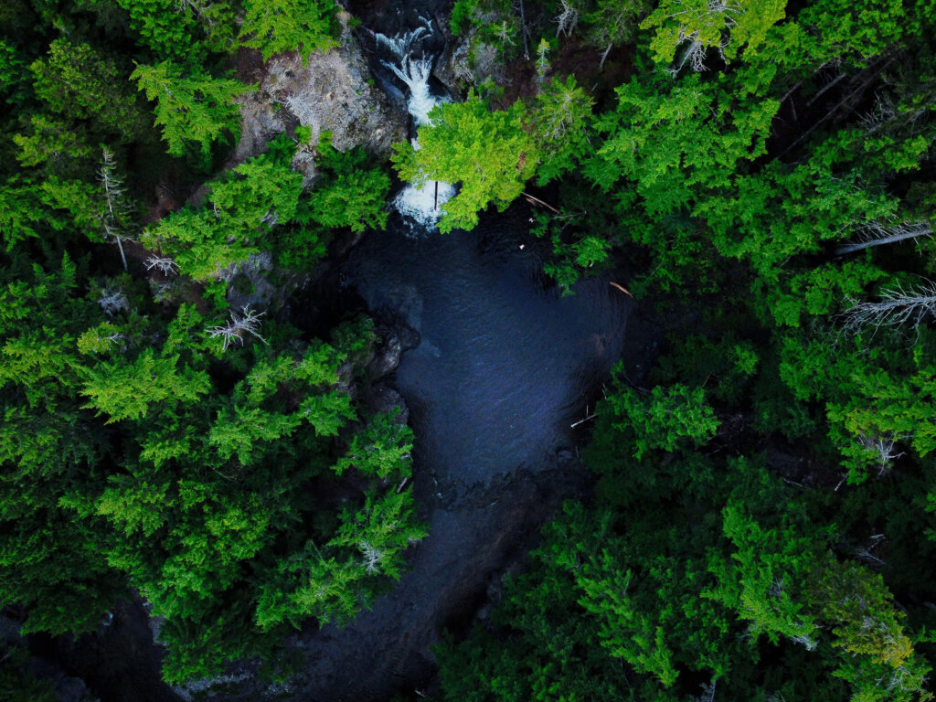 Watering Hole Surrounded by Trees by Alex Basham '26 won a Scholastic Silver Key award.