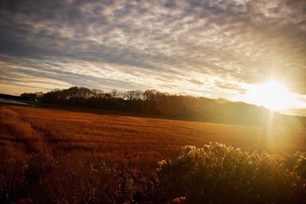 Springs, New York by John Miller '27 received an Honorable Mention.