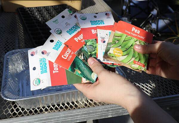 Urban Farming seed packets