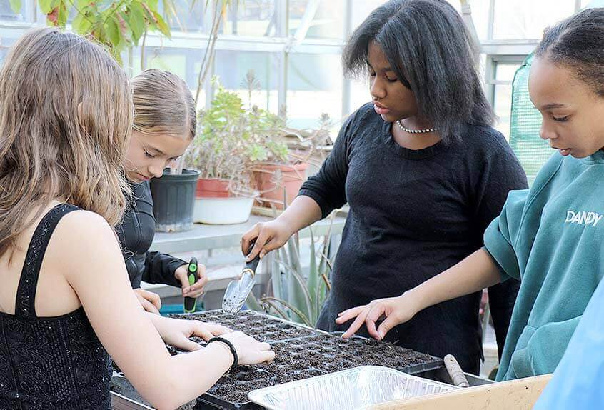 Urban Farming students preparing planter seed tray